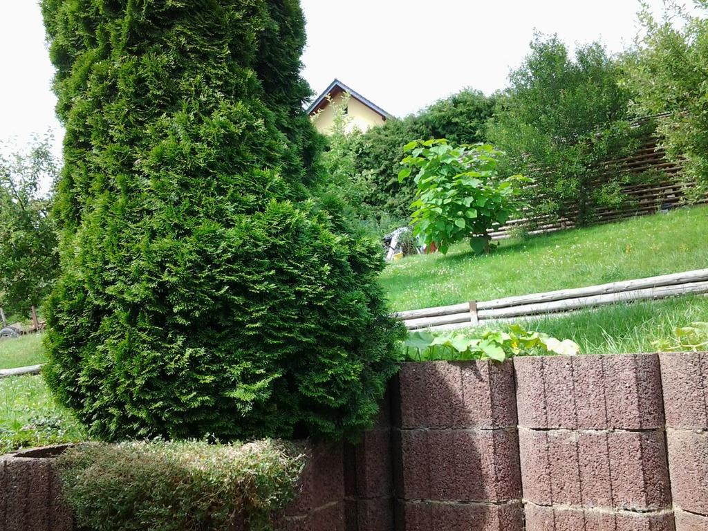 Ferienhaus Waldblick 桑格豪森 外观 照片