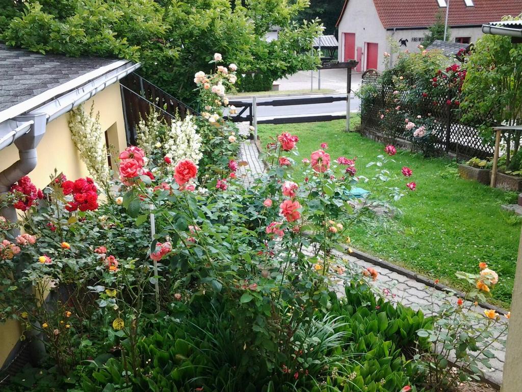Ferienhaus Waldblick 桑格豪森 外观 照片